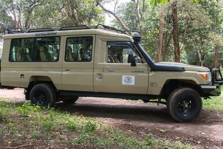 Safari Tour by Jeep to Amboseli National Park