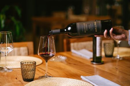 Full day tour in Maipu: Winery and Lunch Tour