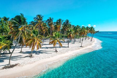 Eco Saona Island Excursion from Punta Cana