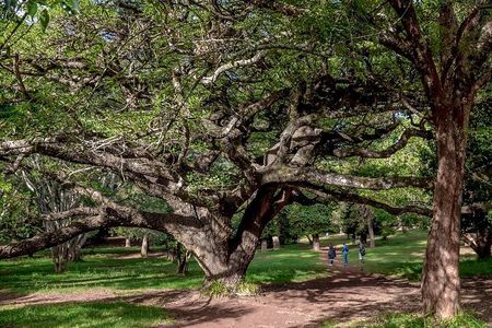 Day Tour to Nairobi Arboretum and Nairobi National Museum