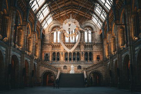 Natural History Museum Walking Guided Tour of London