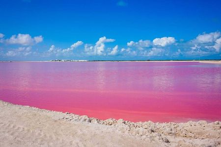 Las Coloradas, Río Lagartos and Playa Cancunito Tour from Mérida
