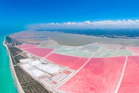 Las Coloradas, Río Lagartos and Playa Cancunito Tour from Mérida