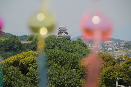 A Fun Car Tour to Inuyama Castle and a Phallus