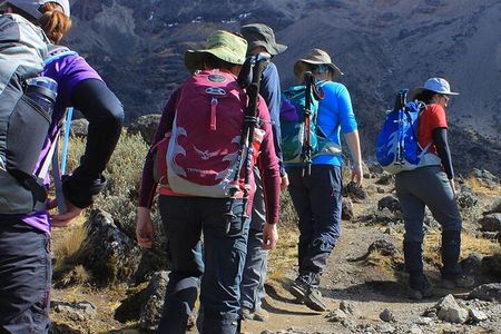 5 Days Marangu Route Climb Kilimanjaro
