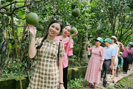 From Ho Chi Minh: Full-Day Mekong Delta Tour to My Tho & Ben Tre