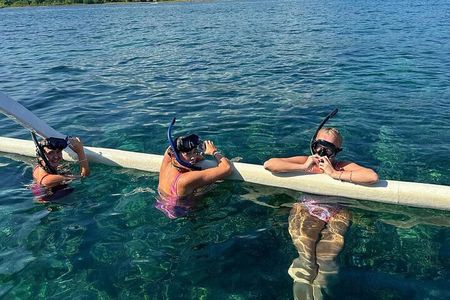 Dolphin Watching Tour, Swimming with Dolphins and Snorkeling 