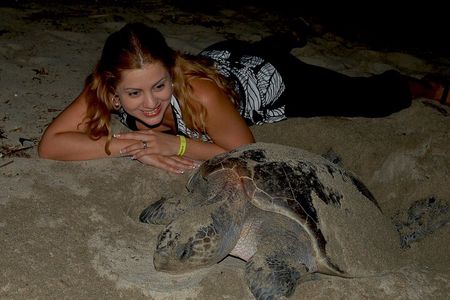 Turtle Camp Puerto Vallarta baby releasing and females laying egg
