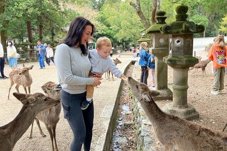 Nara Half Day Tour Discover Ancient Temples and Friendly Deer