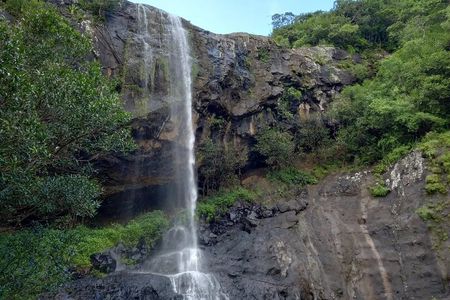 7 Cascades Half-day Hike Tamarind Falls 