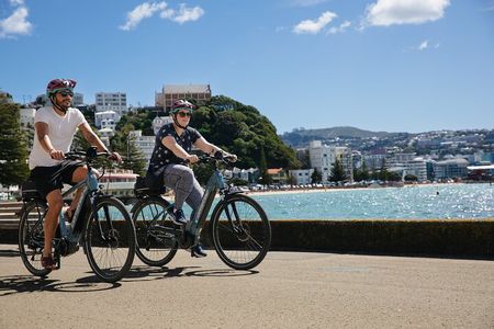 Wellington Self-Guided Electric Bike Tour
