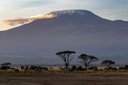 6 Days Private Tour of Masai Mara Lake Nakuru and Amboseli Safari
