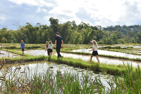 Labuan Bajo Countryside Tour