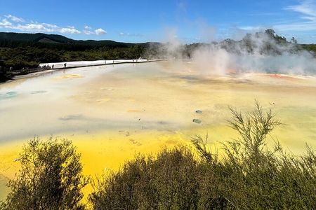 Rotorua: WaiOtapu & Redwood forest & Blues springs from Auckland