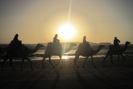 1 Hour Dromedary Ride near Essaouira, Morocco
