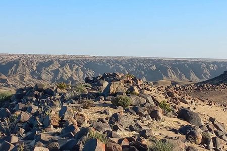 Welwitschia Exclusive Tour in the Moonlandscape, Swakopmund