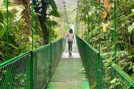 Monteverde Cloud Forest Tour