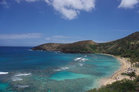 Private Tour Oahu - Up to 5 Guest - Customizable 