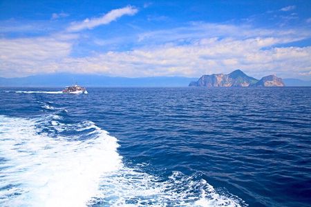 Yilan Whale Watching and Animal Farm Private Tour from Taipei