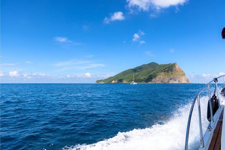 Yilan Day Tour Whale Watching Cruise and Animal Farm