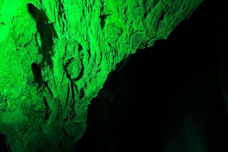 Alicante: Canelobre Caves and Busot Tour con guia y transfer