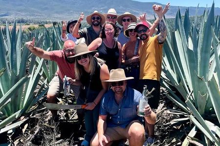 Agave Adventures Mexico