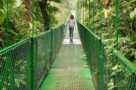 2x1 Guided Tour Combo Hanging Bridges and Night Walk