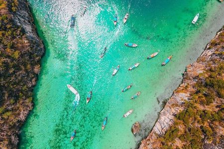 Phi Phi Islands Speedboat Tour: Khai & Maya