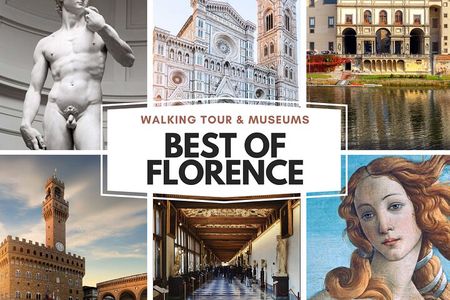 Small Group Uffizi & Accademia Museum with Walking Tour