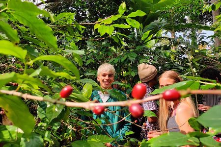 Hidden Arusha Waterfall, Village & Coffee Tour (All-Inclusive)