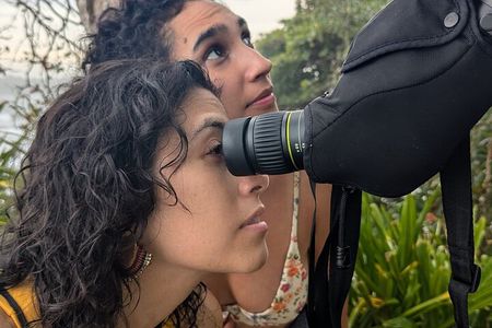 Puerto Viejo's walking tour: Sloth spoting guaranteed 