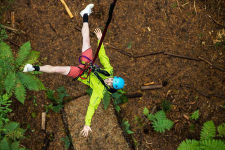 2 Hours Guided Redwoods Altitude Experience