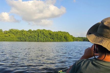 Basking in Nature during a Caroni Bird Sancturary Tour