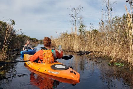 Okefenokee Swamp: Guided Kayak Tour with a Local Naturalist