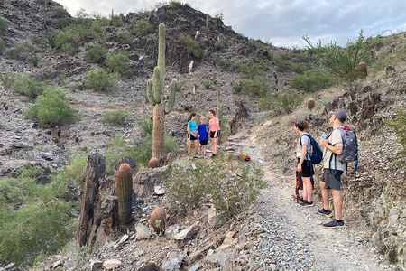 Family Fun Guided Hike in Phoenix, Arizona | Kids 10 & under free