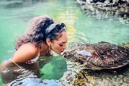 Mnemba Island and Baraka Turtles Aquarium Tour