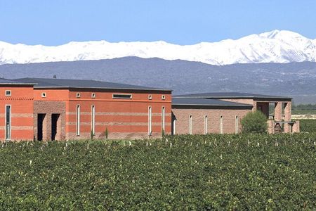 Private Luján de Cuyo Wine-Tasting Tour 