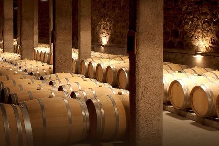 Exclusive Wine Tasting Tour Luján de Cuyo