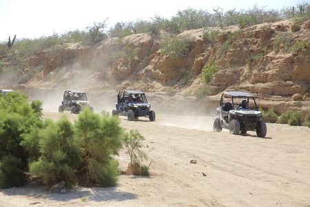 Combo Off Road 4x4 UTV Camel Ride Lunch and Tequila Tasting