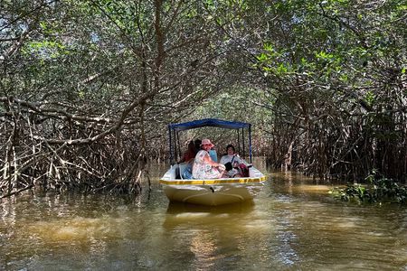 Boat tour through the mangroves of Celestún and Playa from Merida