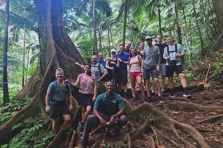 Mount Liamuiga St Kitts Volcano Adventure 