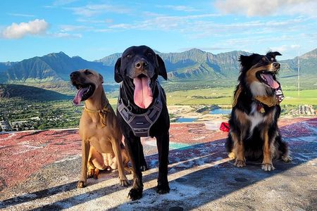 Private West Oahu Adventure Day with Pickup in Ko Olina