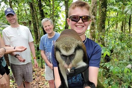 Grenada tropical escape Customizable Island Tour, nature explore