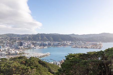 Half Day Guided Tour in Wellington including Cable Car