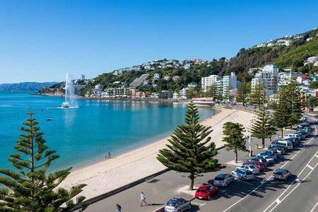 Full Day Guided Wellington Tour including Cable Car