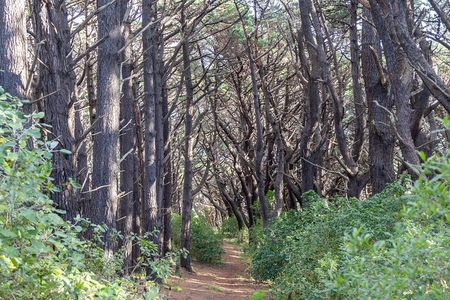 Lord of The Rings Full Day locations tour incl Weta & keepsake