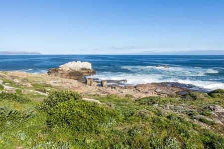 Small Group 4 Day Garden Route Adventure from Cape Town