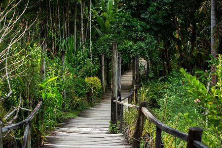 Private Tour: Hot spings & Sleeping Giant Garden hiking Adventure