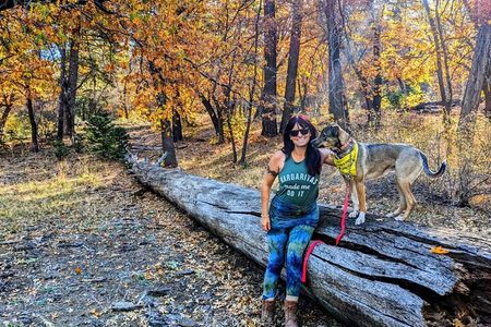 Big Bear Fall Colors Hiking Tour in Southern California
