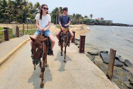 Roatan Horseback and Glass bottom boat Tour